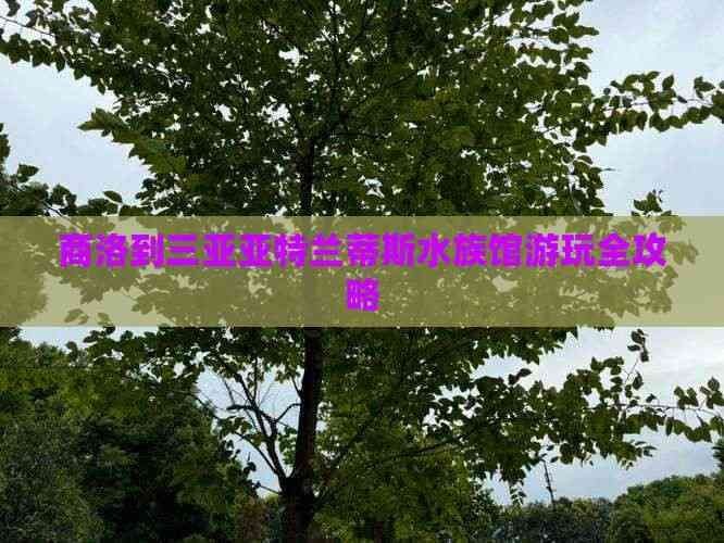 商洛水族館，洛水族館精選