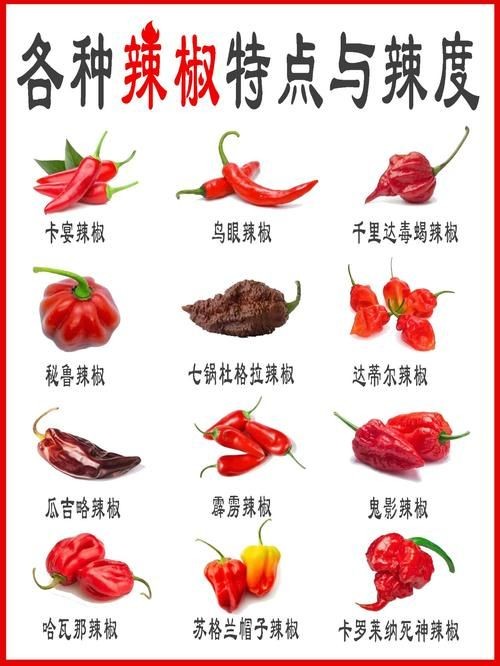 各種辣椒圖片，多種辣椒高清圖片大全，辣味視覺(jué)盛宴盡收眼底！