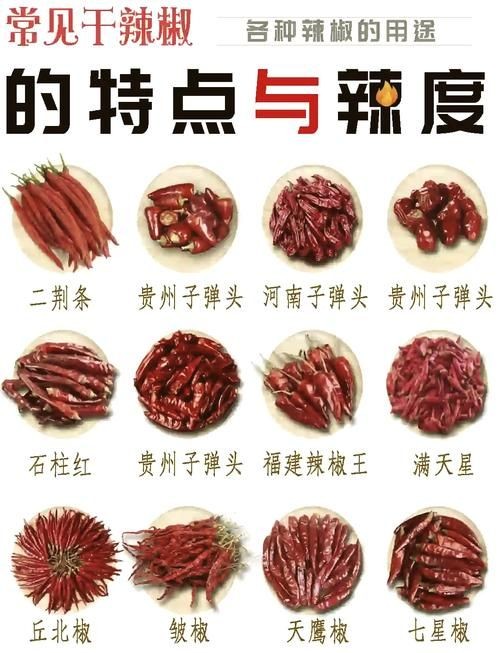 各種辣椒圖片，多種辣椒高清圖片大全，辣味視覺(jué)盛宴盡收眼底！