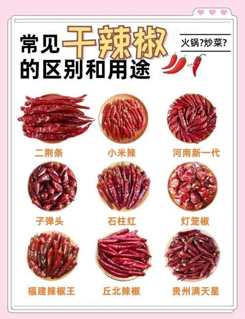 各種辣椒圖片，多種辣椒高清圖片大全，辣味視覺(jué)盛宴盡收眼底！