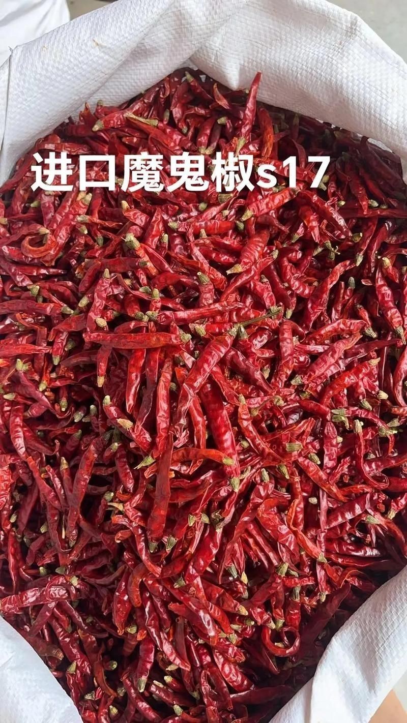 各種辣椒圖片，多種辣椒高清圖片大全，辣味視覺(jué)盛宴盡收眼底！