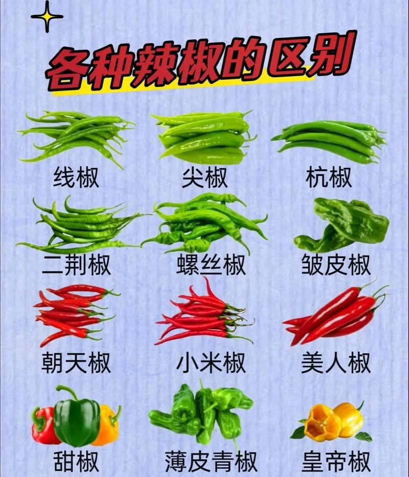 各種辣椒圖片，多種辣椒高清圖片大全，辣味視覺(jué)盛宴盡收眼底！