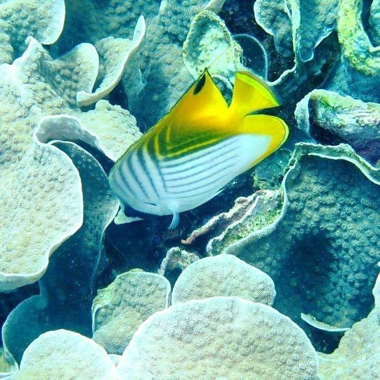 麗水水族館，水水族館熱門展區及特色生物
