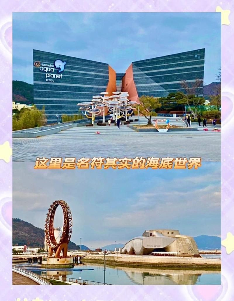 麗水水族館，水水族館熱門展區及特色生物