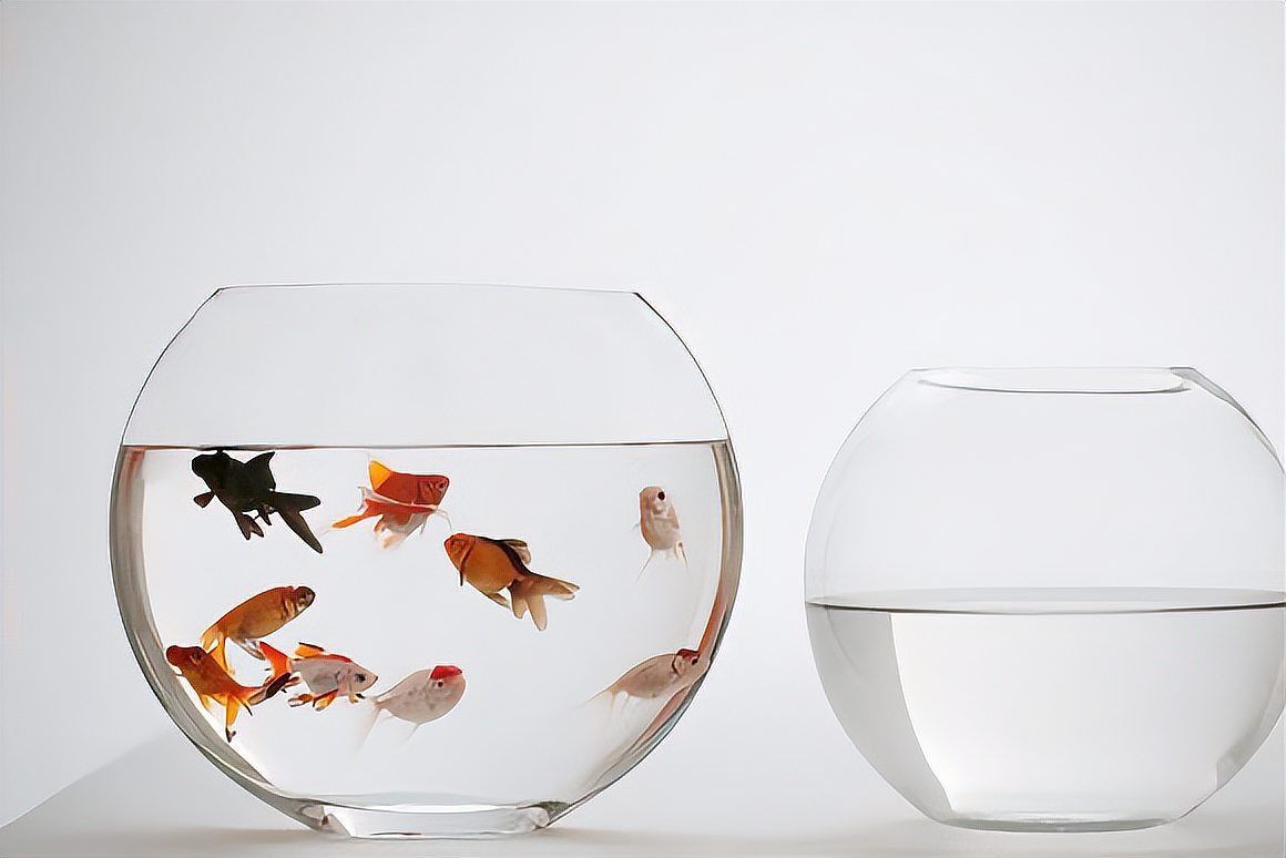 舊魚缸送人對(duì)誰(shuí)不好，魚缸送人對(duì)風(fēng)水運(yùn)勢(shì)有何不利影響？