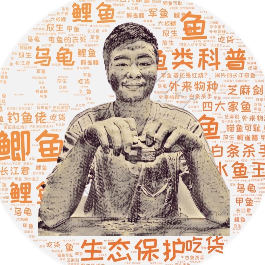 假巴卡雷龍魚是哪個 假巴卡雷龍魚是哪個 全國水族館企業(yè)名錄 第8張