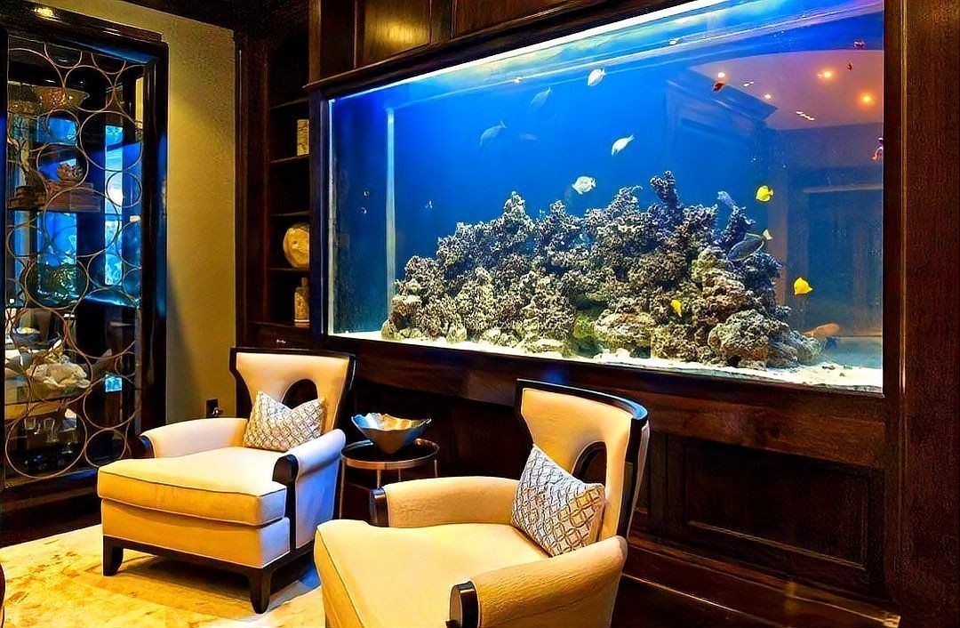 家里放魚缸的最佳位置