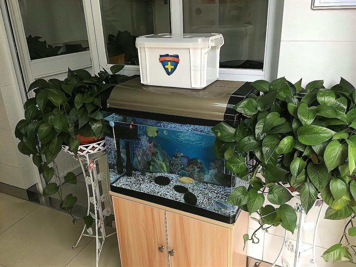 家里放魚缸的最佳位置