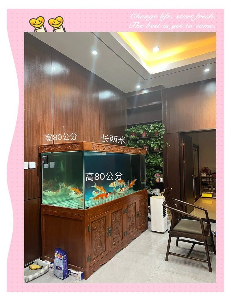 家里放魚缸的最佳位置