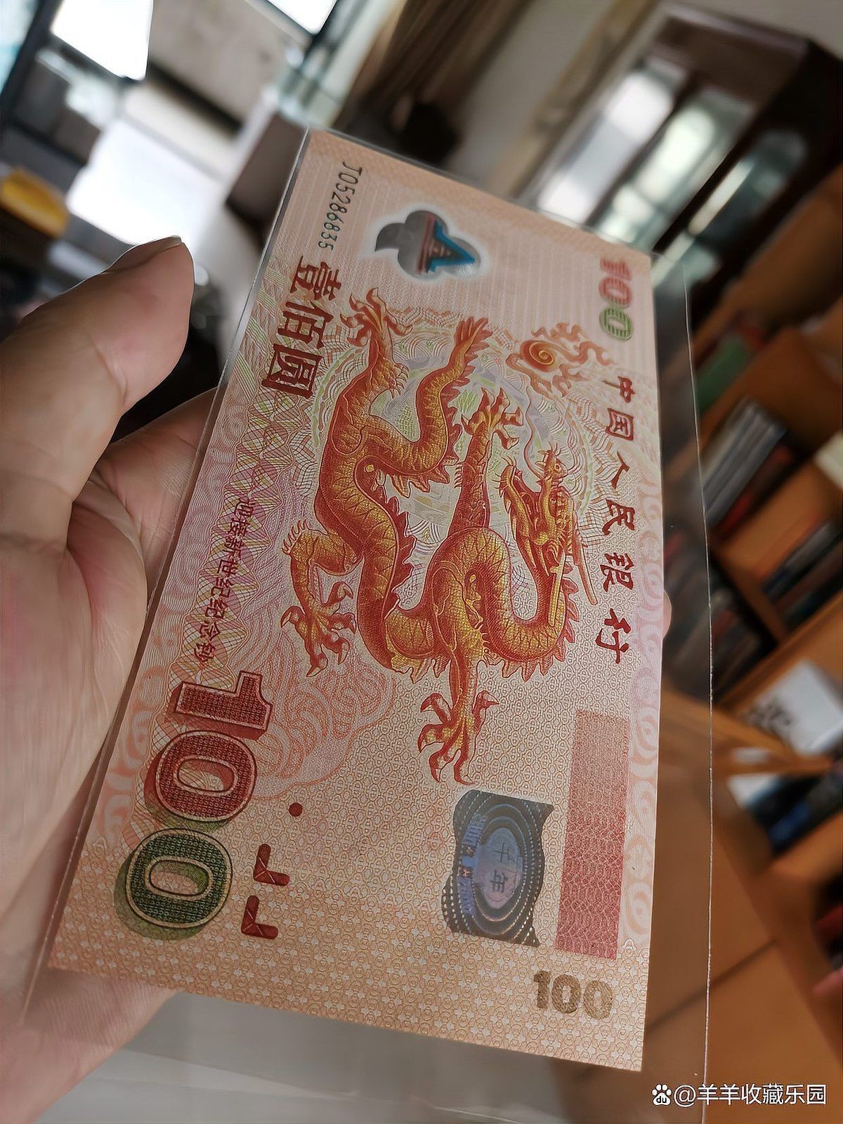紅龍價格一覽表
