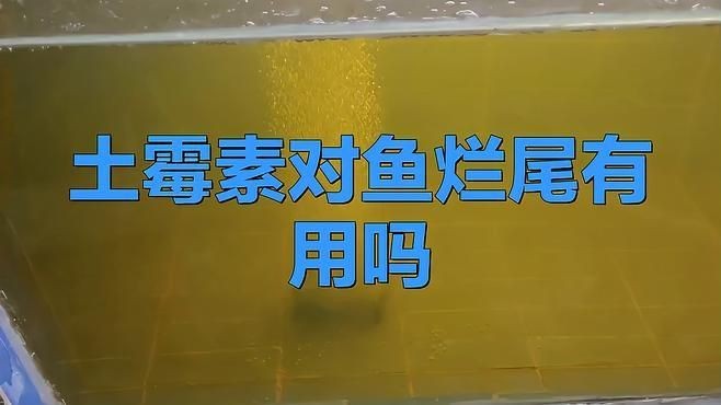 土霉素對魚爛尾有用嗎
