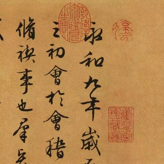 九種化龍的動(dòng)物