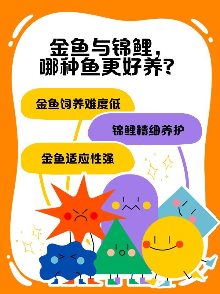 家里適合養(yǎng)錦鯉還是金魚