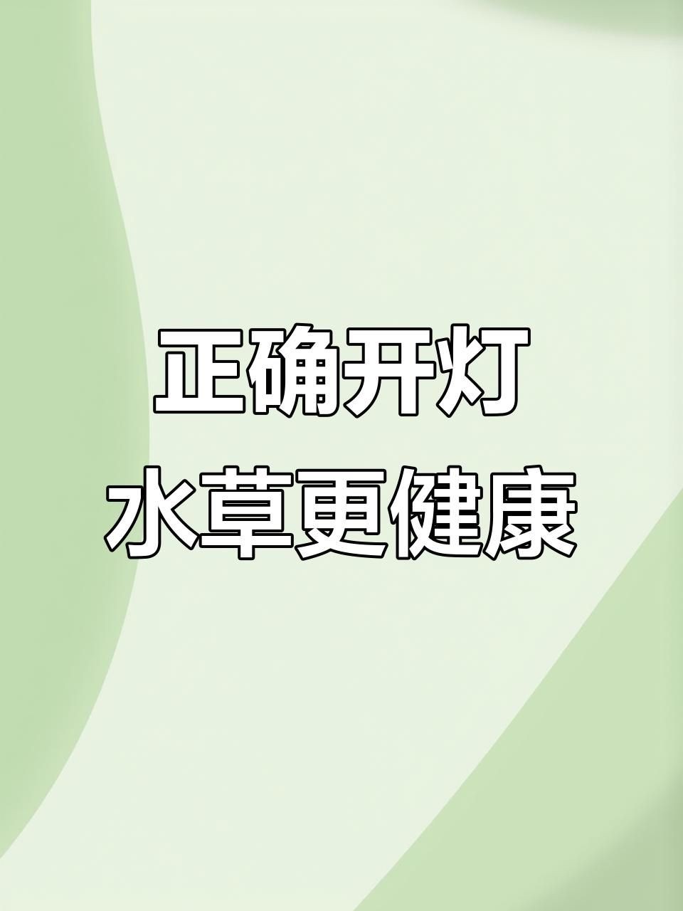 吉印燈養水草的正確使用方法視頻