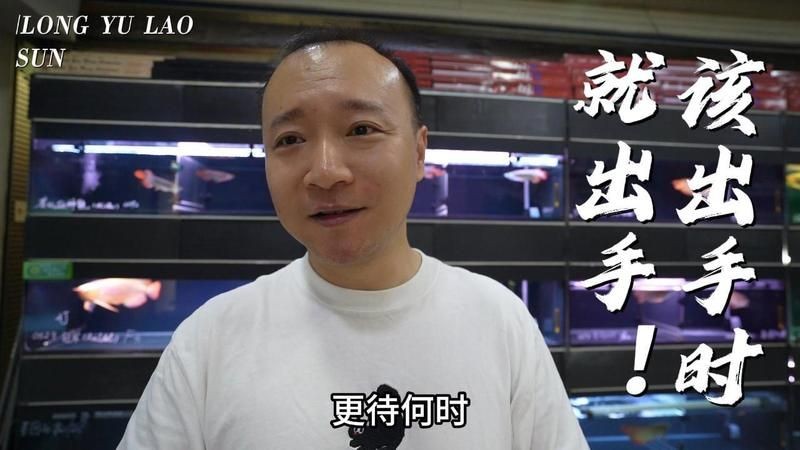 和興龍魚一斤多少錢