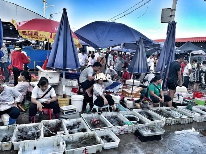 咸陽水族批發市場