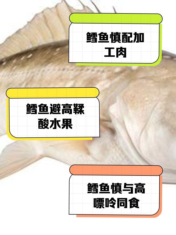 哈薩克鱈龍魚最忌諱三個食物