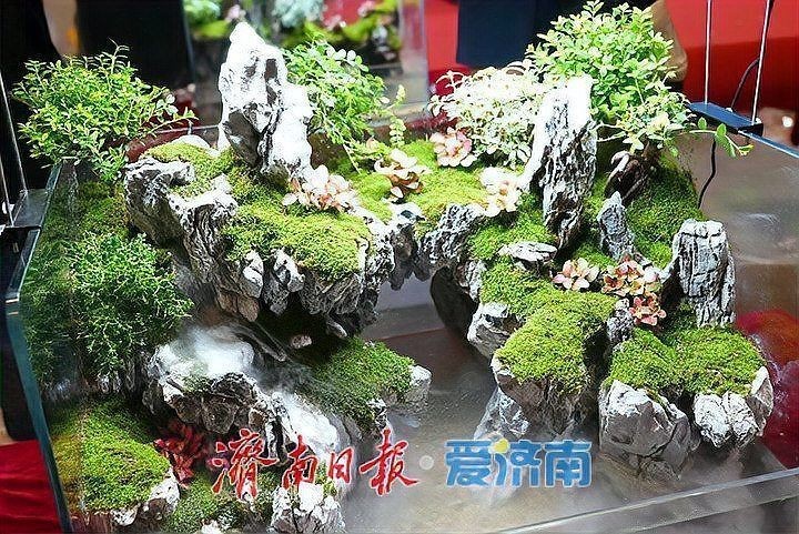 濟南水族博覽會2025年