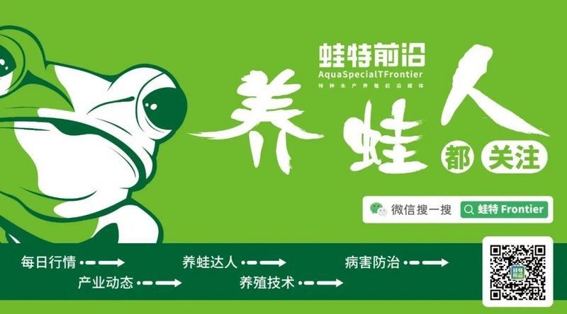 廣西埃及魚收購價格