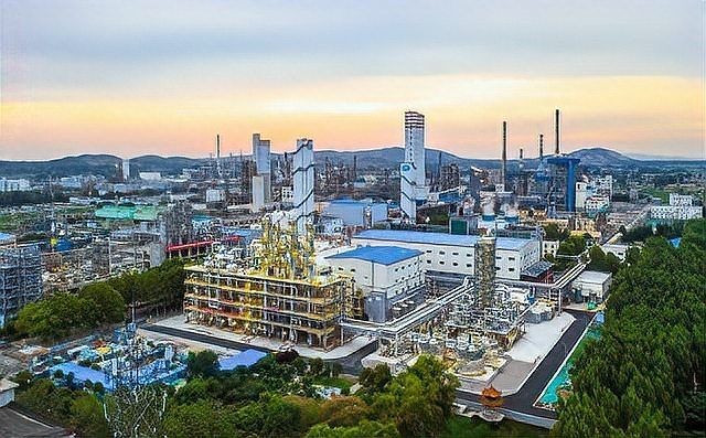 云浮水族批發市場
