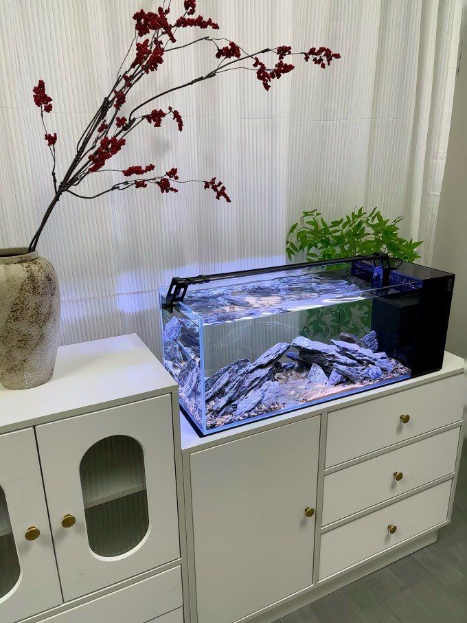 國內魚缸品牌愛唯希
