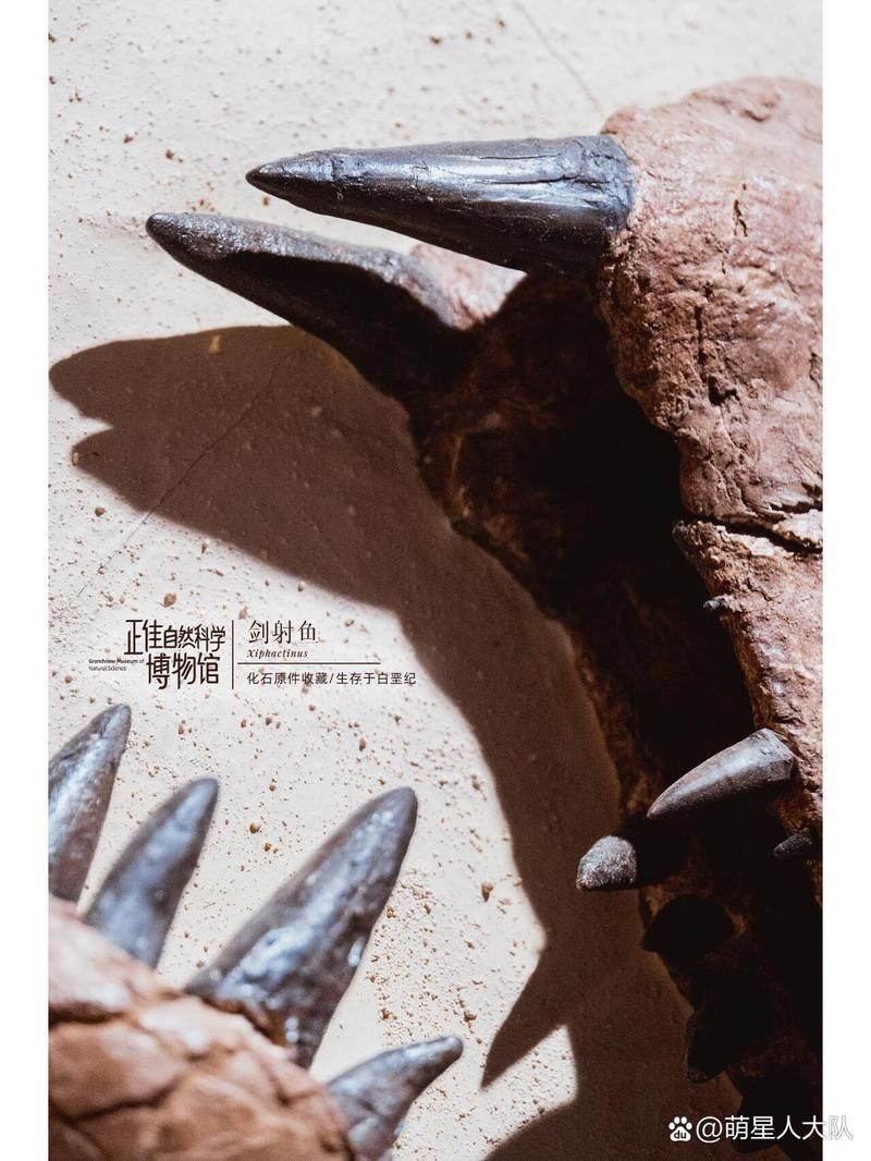劍射魚(yú)