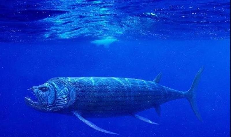劍射魚(yú)