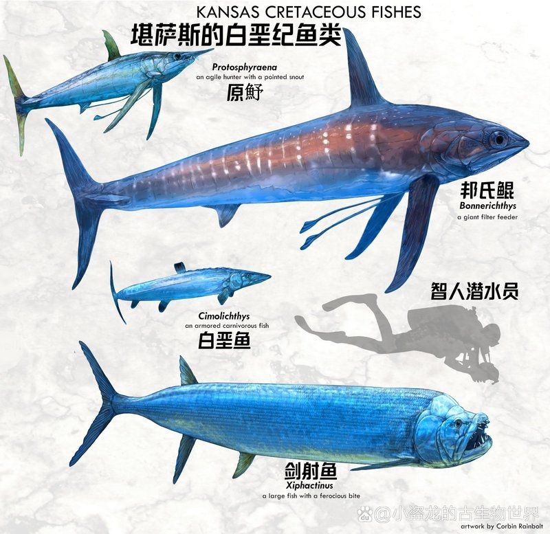 劍射魚(yú)