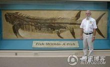 劍射魚