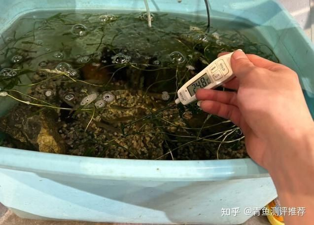 光特億是日本品牌嗎
