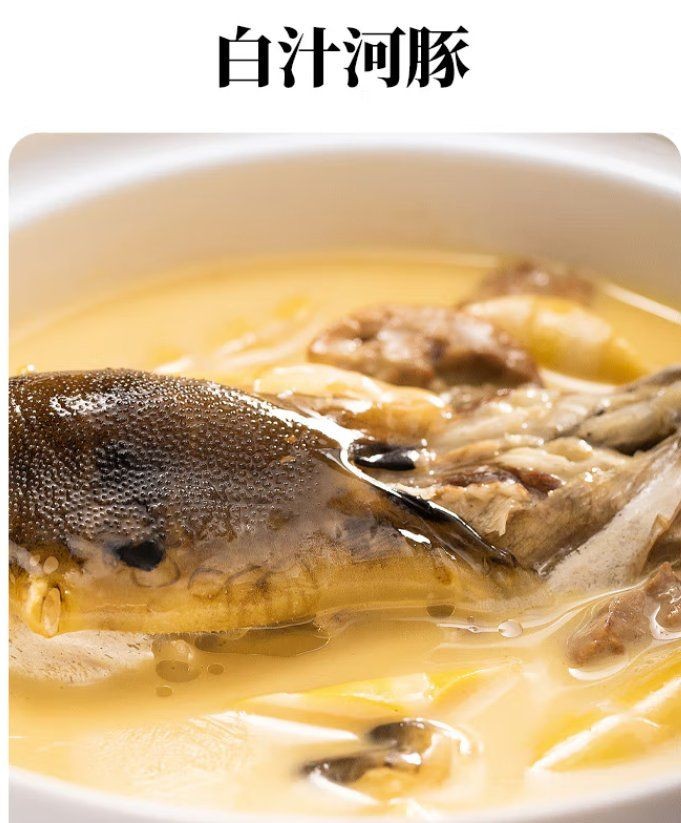 弓斑河豚淡水能不能養活 弓斑河豚淡水能不能養活 龍魚論壇 第7張