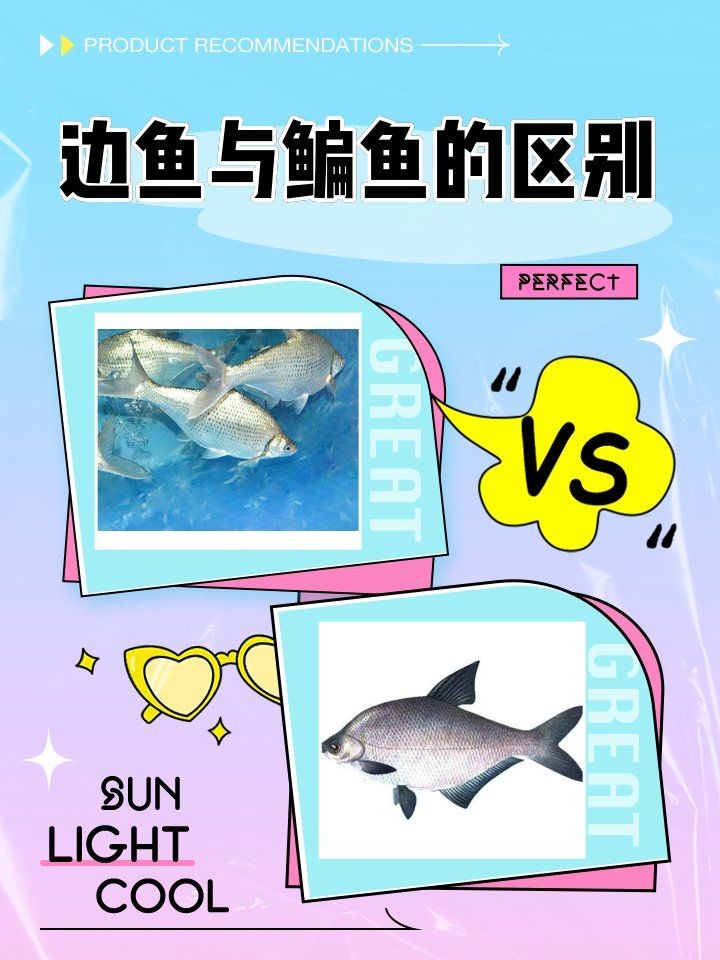 廣東人叫邊魚是什么魚