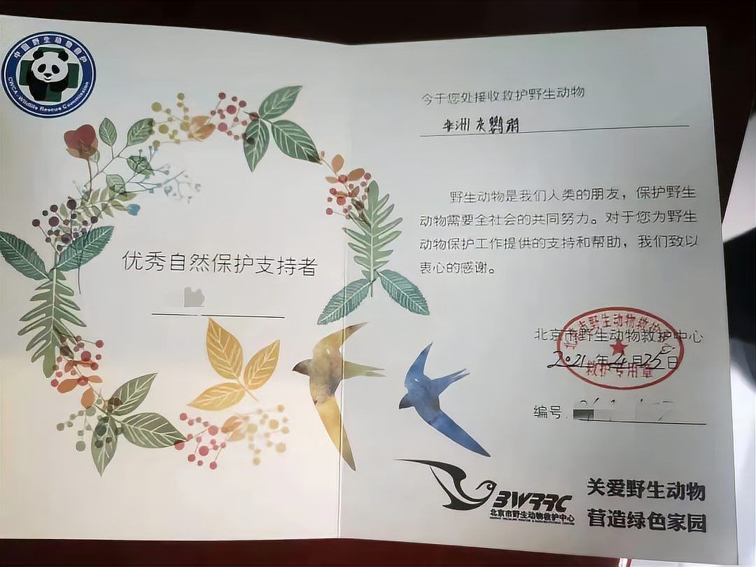 國家一級保護鸚鵡有哪些