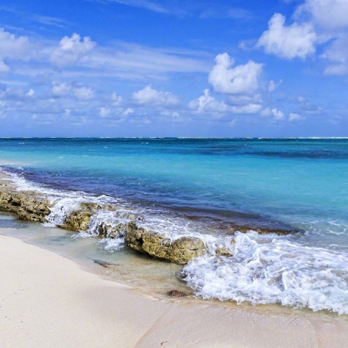 關刀真實圖片，高清關刀真實圖片大全