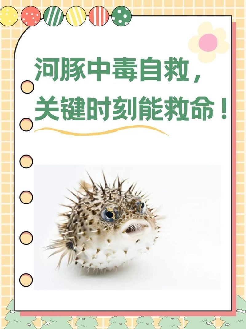 河豚中毒自救10秒，河豚中毒黃金10秒