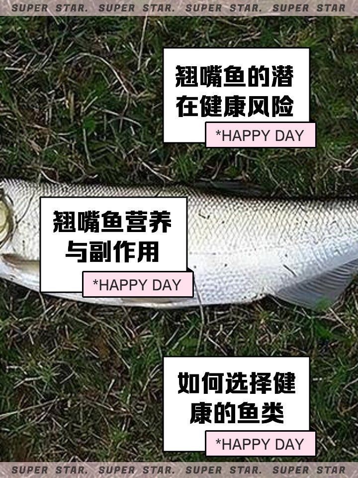 尖嘴魚盡量少吃的原因，警惕！尖嘴魚需慎食的幾大關鍵原因曝光