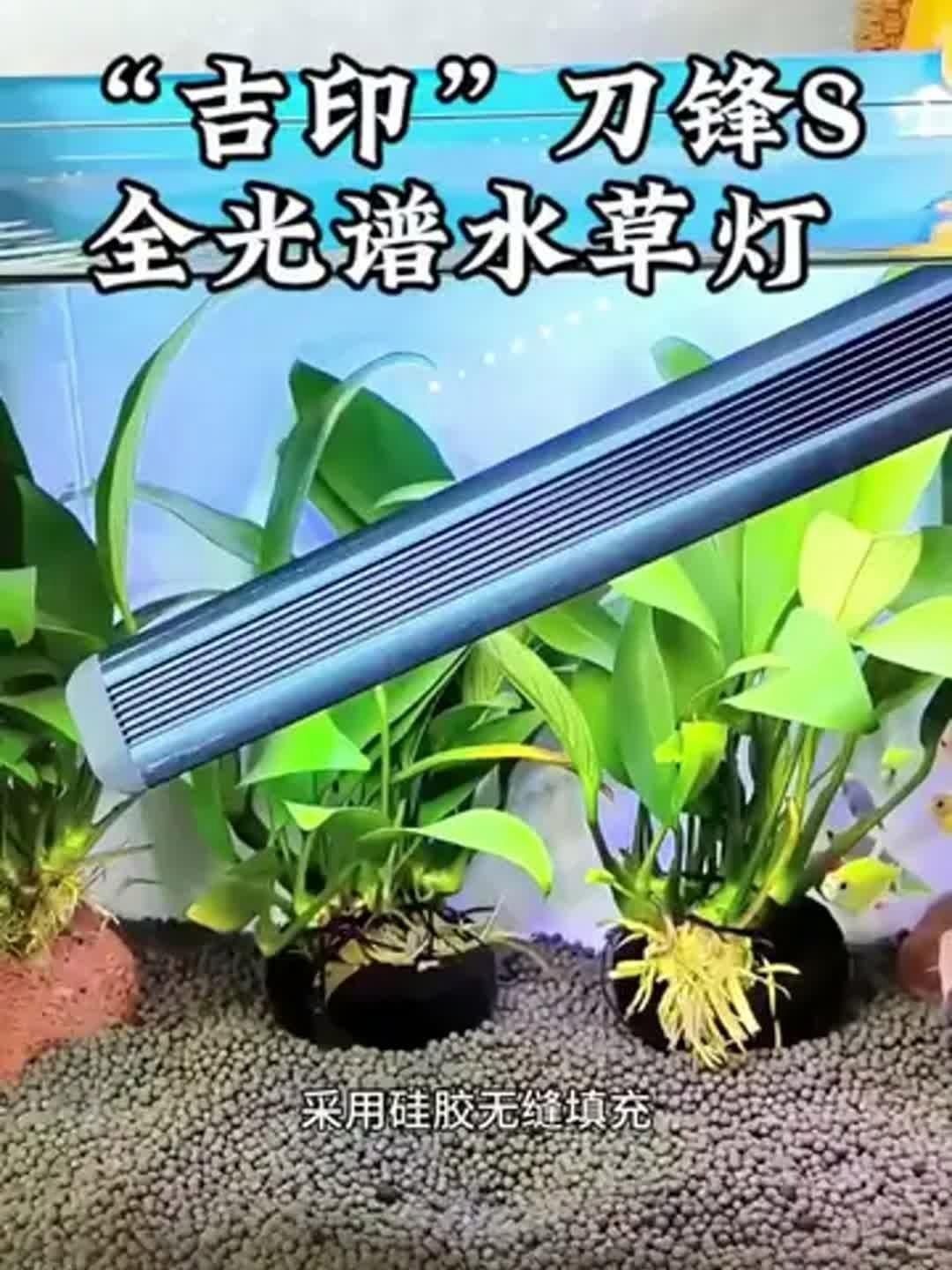 吉印全光譜水草燈怎么樣，實測分享吉印全光譜水草燈種植效果