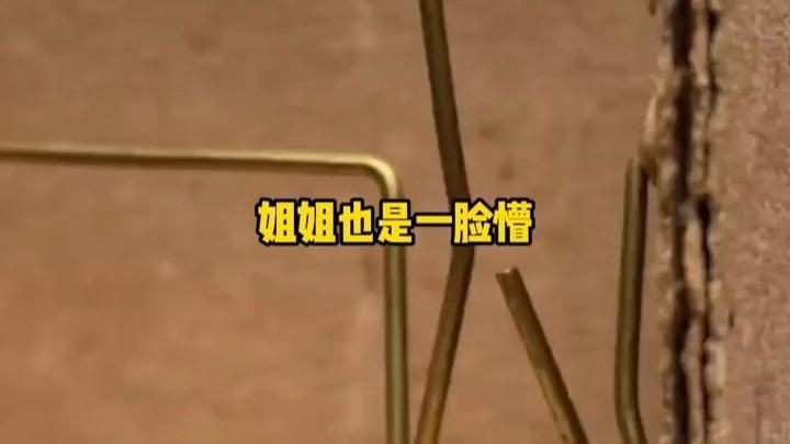 和金龍生下一條黑龍的小說，金龍血脈誕下逆世黑龍！ 和金龍生下一條黑龍的小說，金龍血脈誕下逆世黑龍！ 全國水族館企業(yè)名錄 第2張