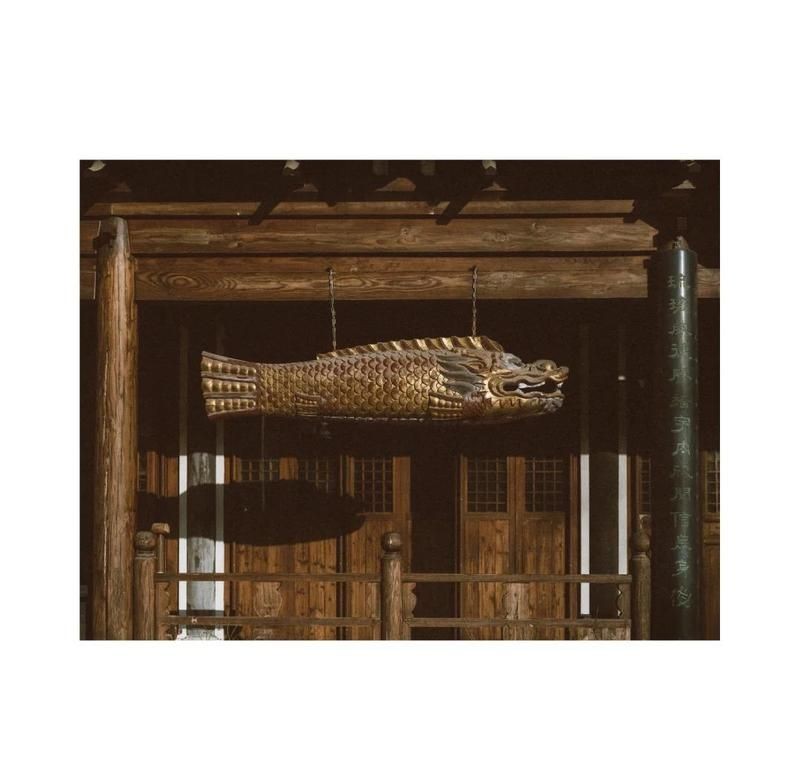 和尚頭魚有幾種叫法，和尚頭魚，這些五花八門的叫法你知道