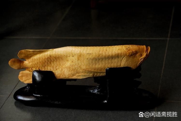 木雕魚最漂亮的圖片，絕美木雕魚藝術珍品高清圖片大賞