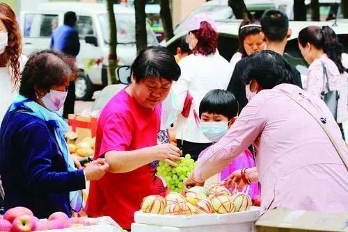 中衛(wèi)水族批發(fā)市場，中衛(wèi)水族批發(fā)市場，品類齊全的水族