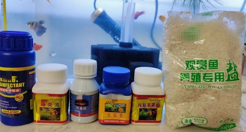 海水魚體表細菌感染用什么藥，海水觀賞魚體表細菌性感染病癥