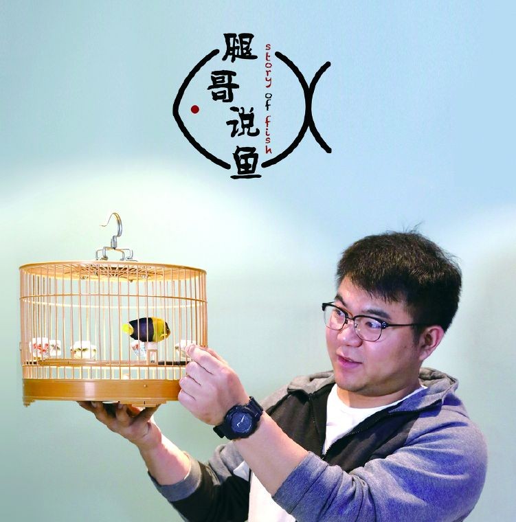 哥倫比亞巨暴魚好養嗎，哥倫比亞巨暴魚飼養全解析，適合新手的熱帶