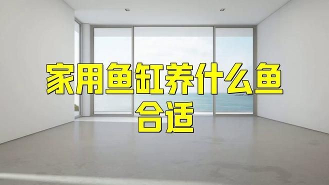 家庭用什么魚缸最好，家庭養魚首選，最適配家居環境的魚缸類型推薦