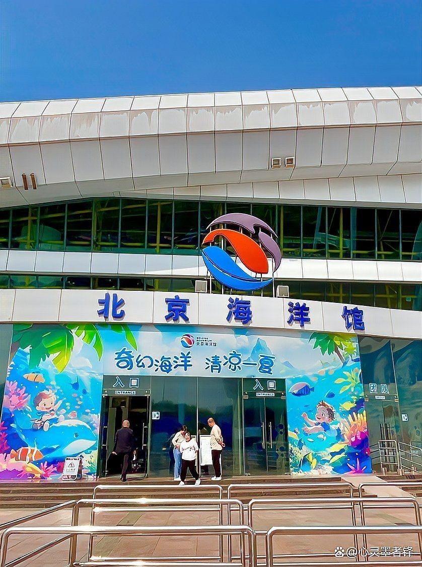國內最好的海洋公園，國內頂級海洋公園TOP榜，這些寶藏級海景樂園