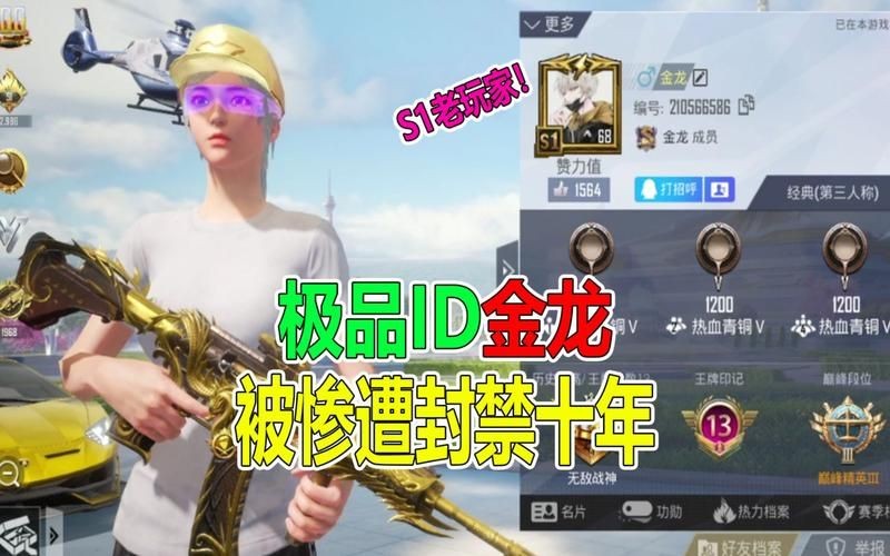 和平精英至尊金龍圖片，和平精英至尊金龍炫酷