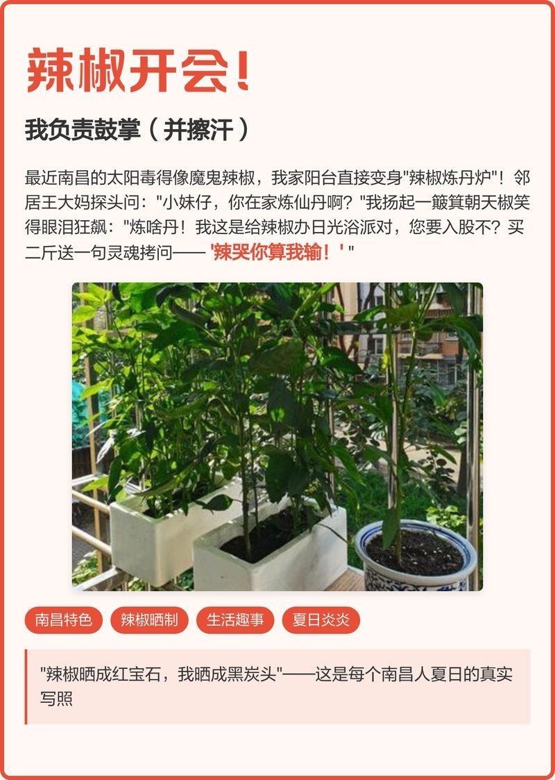 搞笑辣椒順口溜，爆笑！超上頭的魔性辣椒順口溜大合集