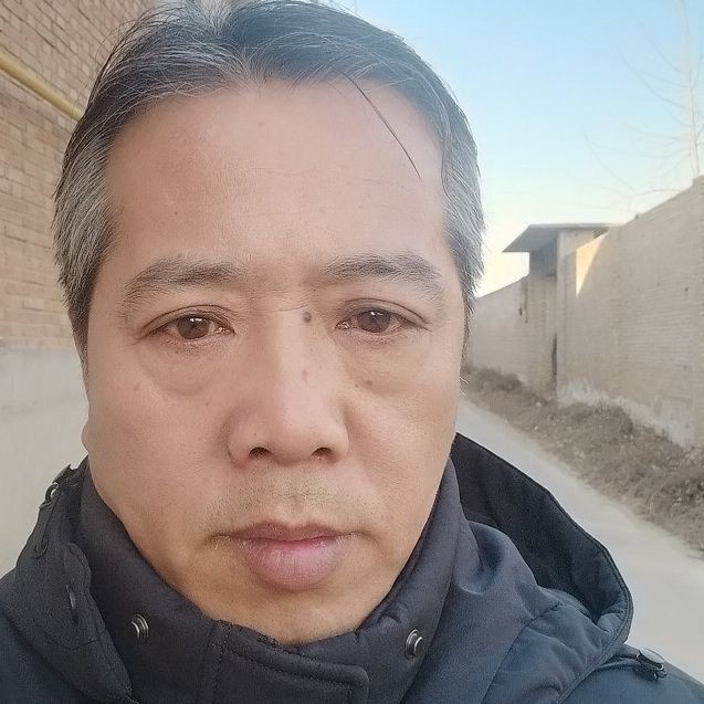 各種魚盤，精美多樣各種創意魚