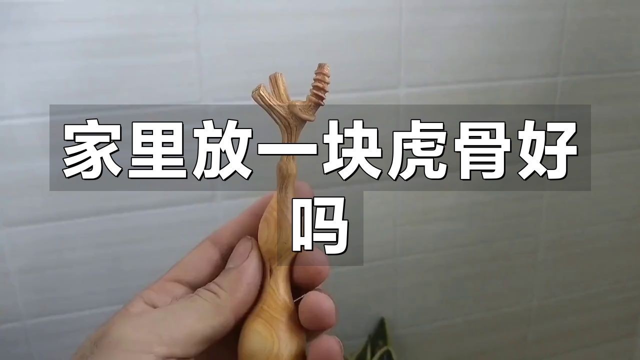 家里放一塊虎骨好嗎，家中擺放虎骨