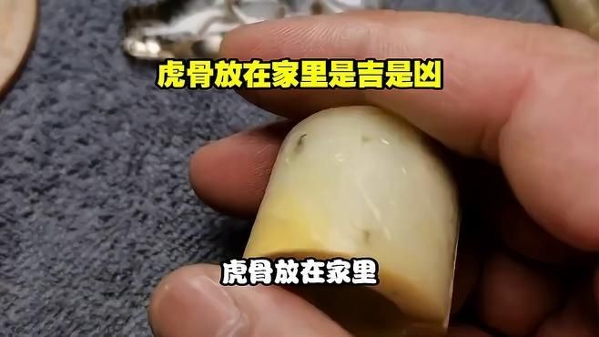 家里放一塊虎骨好嗎，家中擺放虎骨